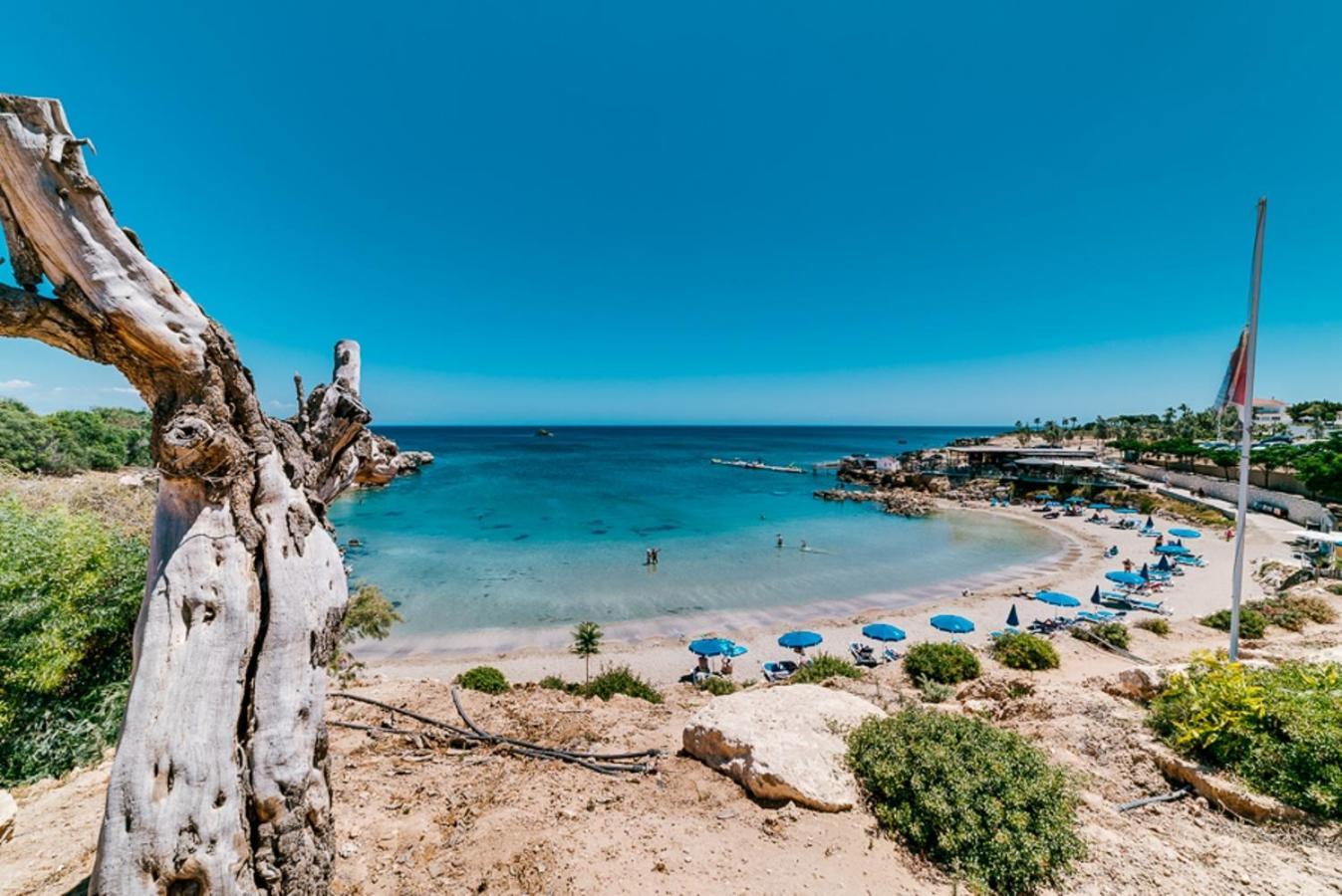 Eva Residences- Kapparis Paralimni Esterno foto